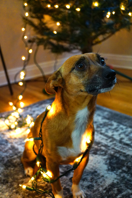 Entry image for Friday. Clicking this image will show a larger photo