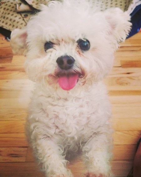 Entry image for Bruce. Clicking this image will show a larger photo