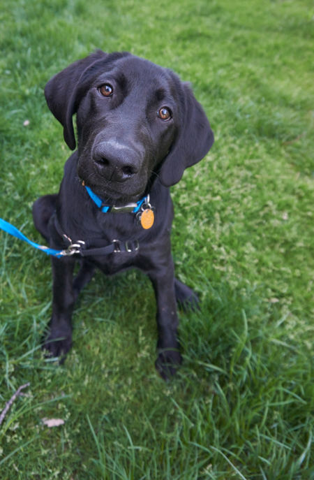 Entry image for Folsom. Clicking this image will show a larger photo