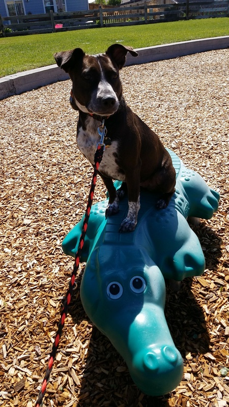 Entry image for Kenosha. Clicking this image will show a larger photo