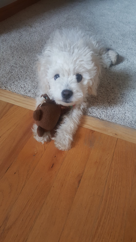 Entry image for Sofie. Clicking this image will show a larger photo