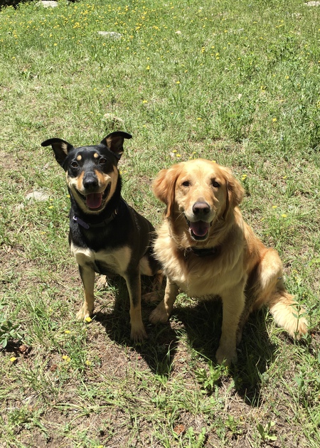 Entry image for Deeno and Stella. Clicking this image will show a larger photo