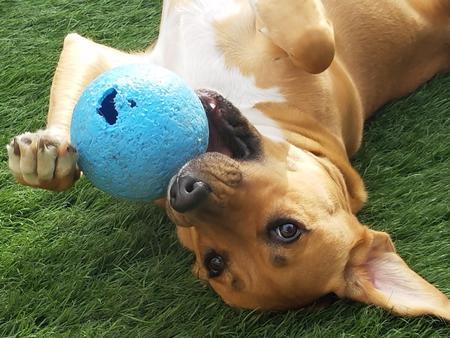 Entry image for Emma. Clicking this image will show a larger photo