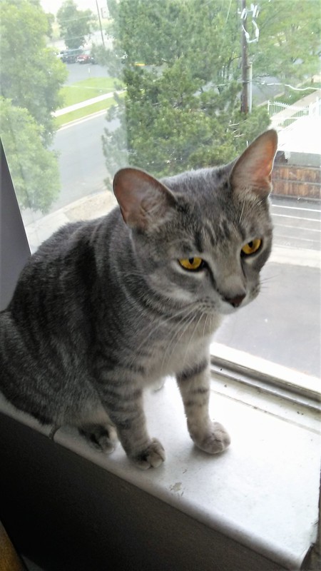 Entry image for Libby. Clicking this image will show a larger photo