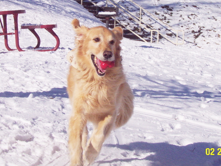 Entry image for Payton. Clicking this image will show a larger photo