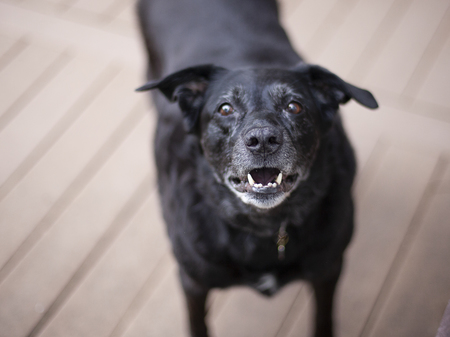 Entry image for April. Clicking this image will show a larger photo