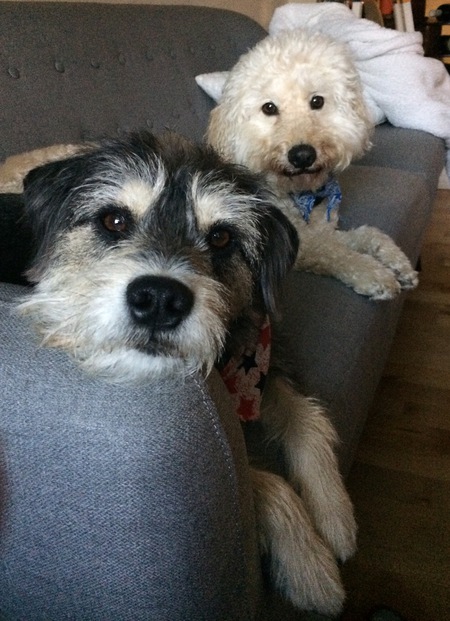 Entry image for Watson and Bentley. Clicking this image will show a larger photo