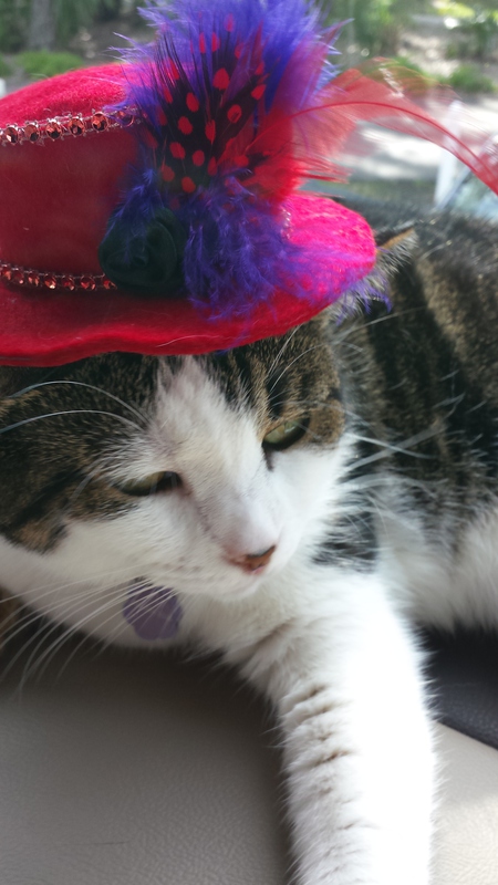 Entry image for Layla. Clicking this image will show a larger photo