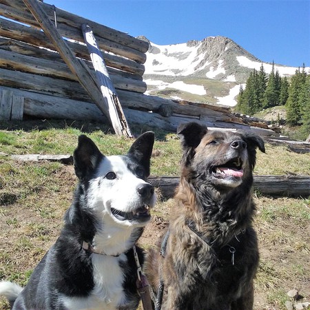 Entry image for Mollie and Cooper. Clicking this image will show a larger photo