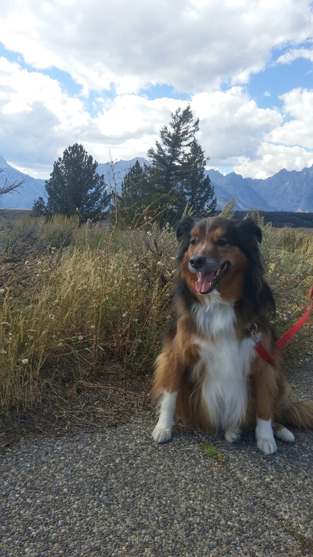 Entry image for Jaxson. Clicking this image will show a larger photo