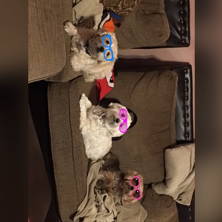 Entry image for Oliver, Astrid & Tessa. Clicking this image will show a larger photo