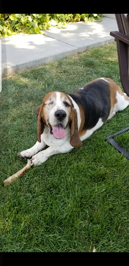 Entry image for Cash Alexander. Clicking this image will show a larger photo