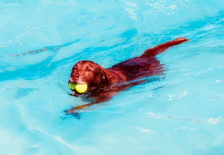 Entry image for Thunder. Clicking this image will show a larger photo