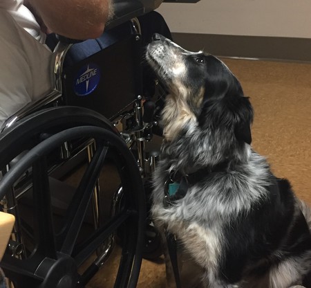 Entry image for Dottie. Clicking this image will show a larger photo