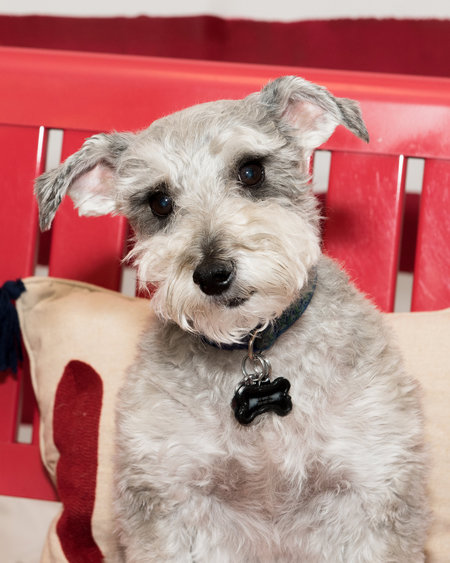 Entry image for Max. Clicking this image will show a larger photo