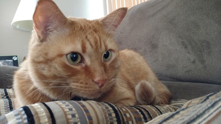 Entry image for Max. Clicking this image will show a larger photo