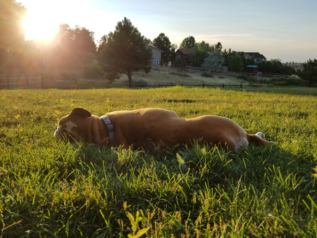 Entry image for Mugi Batake. Clicking this image will show a larger photo