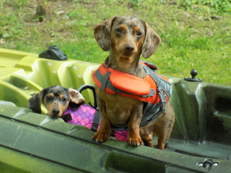 Entry image for Denver Skye & Kei Teckal. Clicking this image will show a larger photo