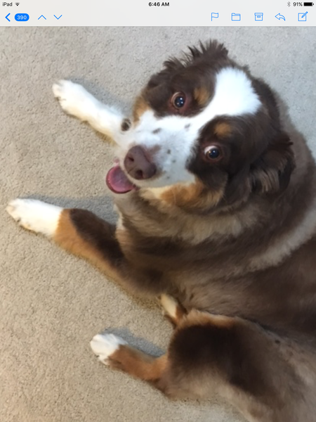 Entry image for Brodee. Clicking this image will show a larger photo