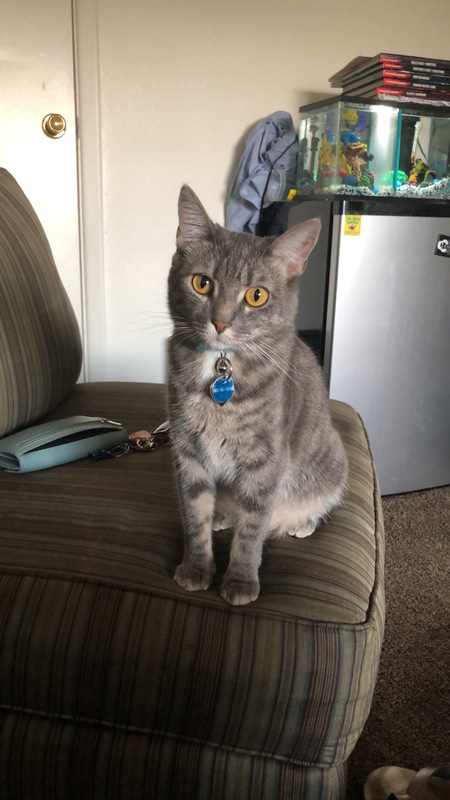 Entry image for Jupiter Snow. Clicking this image will show a larger photo