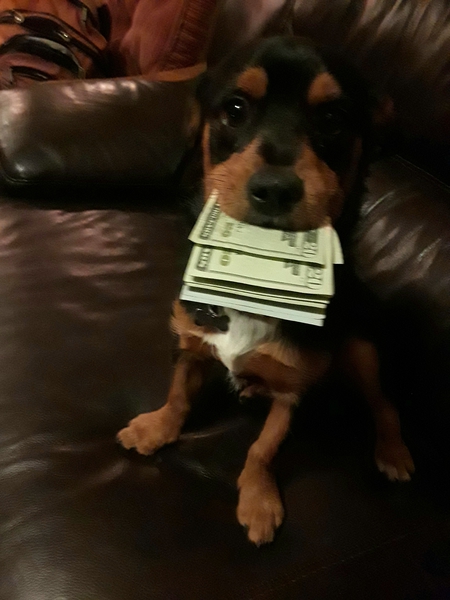 Entry image for Ingacio. Clicking this image will show a larger photo