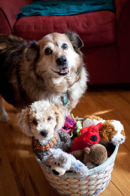 Entry image for Bear & Brigh. Clicking this image will show a larger photo