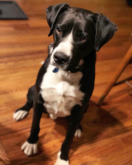 Entry image for Bruce. Clicking this image will show a larger photo