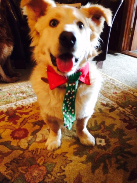 Entry image for Martin. Clicking this image will show a larger photo