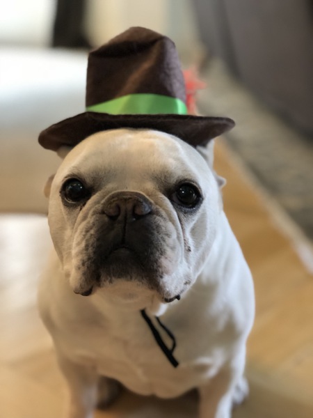 Entry image for Lily. Clicking this image will show a larger photo