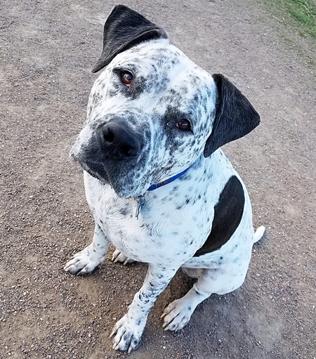 Entry image for Leonard . Clicking this image will show a larger photo