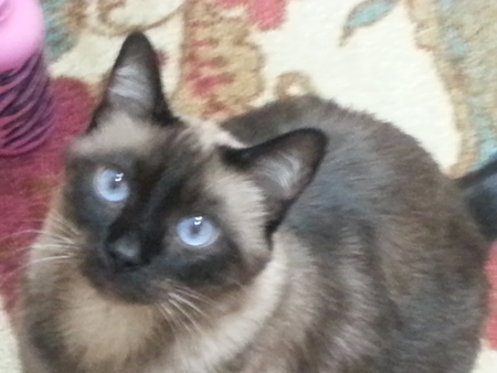 Entry image for Granby. Clicking this image will show a larger photo