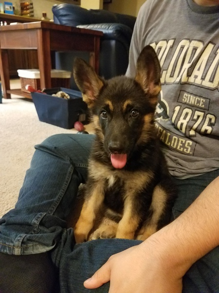 Entry image for Lacie. Clicking this image will show a larger photo