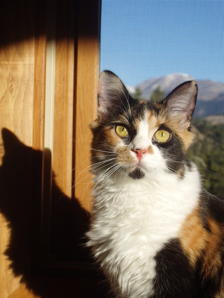 Entry image for Claire. Clicking this image will show a larger photo