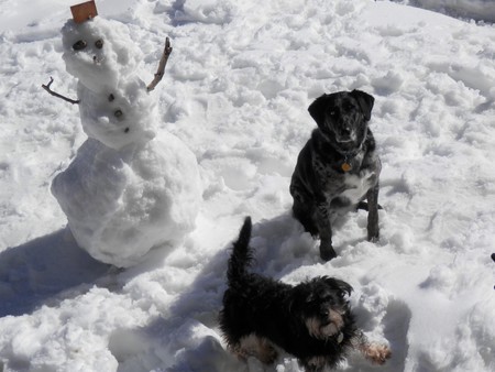 Entry image for Cindy & Skip. Clicking this image will show a larger photo