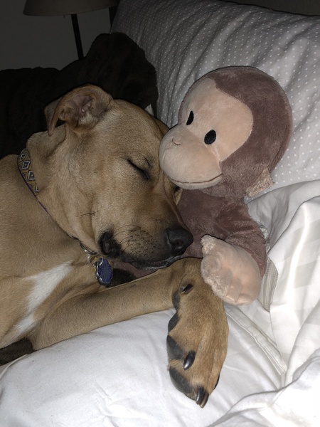 Entry image for Winnie. Clicking this image will show a larger photo