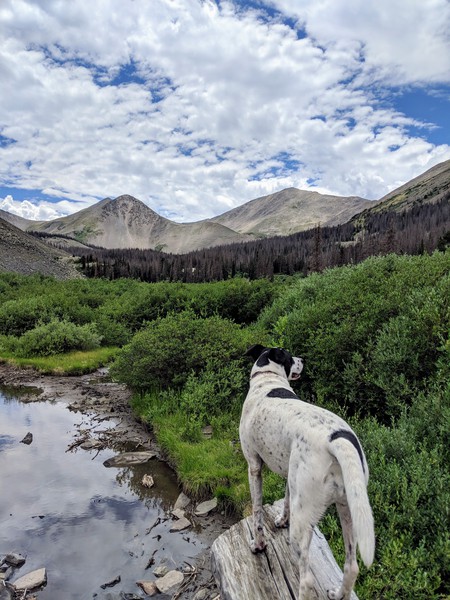 Entry image for Lucy van Beek. Clicking this image will show a larger photo