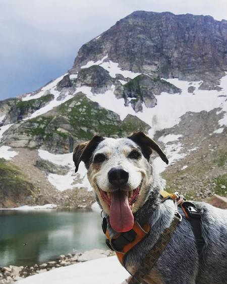 Entry image for Shaelee. Clicking this image will show a larger photo