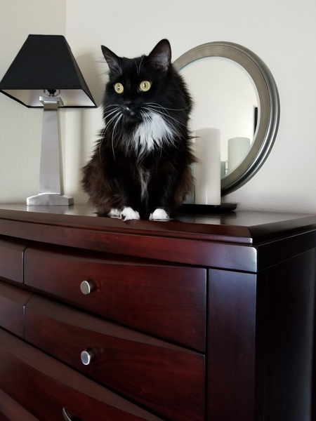 Entry image for Minke. Clicking this image will show a larger photo