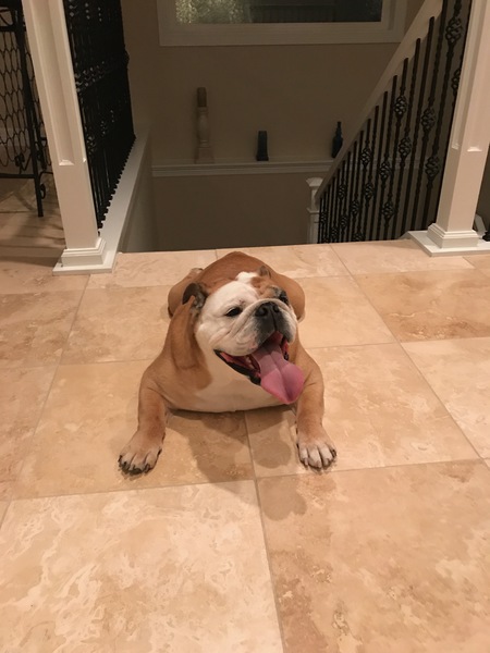 Entry image for Popeye. Clicking this image will show a larger photo