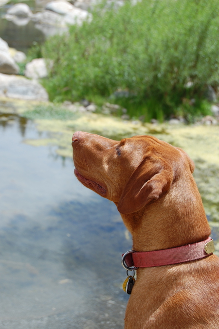 Entry image for Robert. Clicking this image will show a larger photo