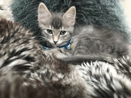 Entry image for Journey. Clicking this image will show a larger photo