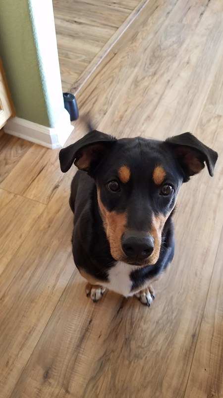 Entry image for Atlas. Clicking this image will show a larger photo