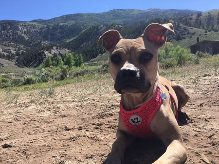 Entry image for Karma. Clicking this image will show a larger photo