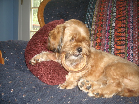 Entry image for Keyeh. Clicking this image will show a larger photo