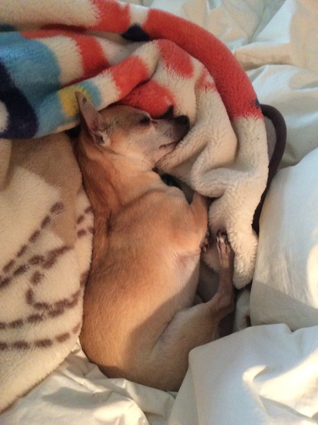 Entry image for Chiry. Clicking this image will show a larger photo