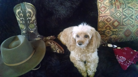 Entry image for Cowboy Tigger Marquardt. Clicking this image will show a larger photo