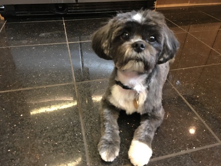 Entry image for Tevin. Clicking this image will show a larger photo