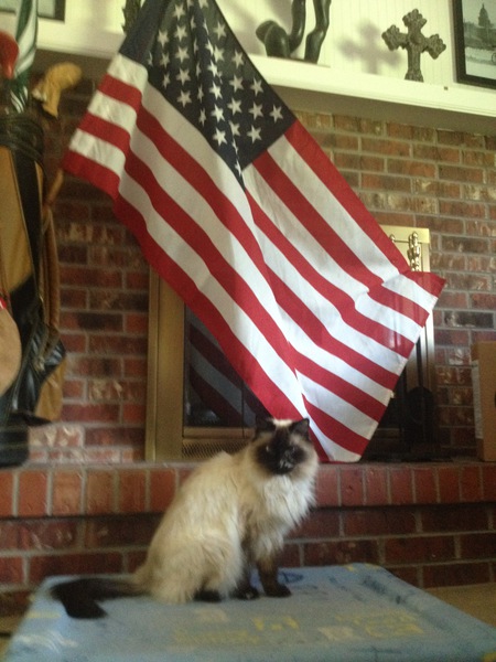 Entry image for Lizi. Clicking this image will show a larger photo