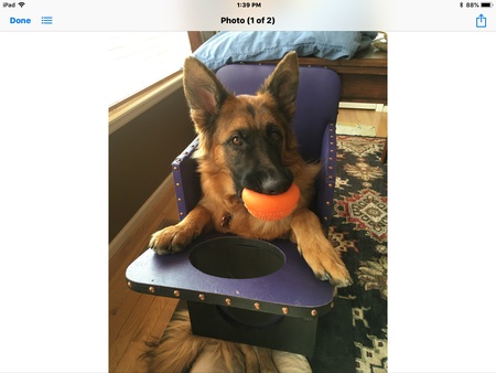 Entry image for Derby Pie. Clicking this image will show a larger photo