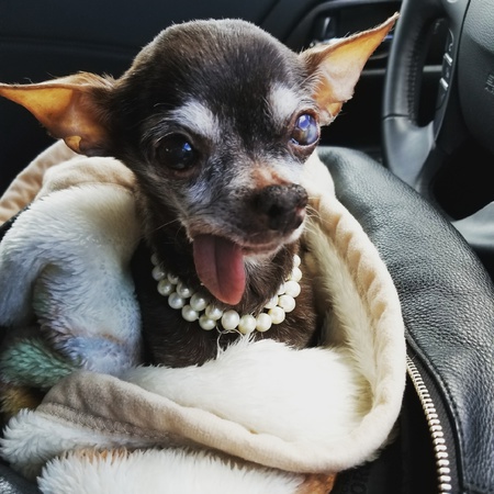 Entry image for Mrs Mrs. Clicking this image will show a larger photo